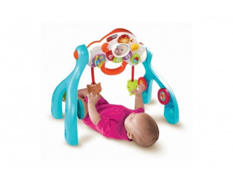 Развивающая игровая дуга День и ночь VTech