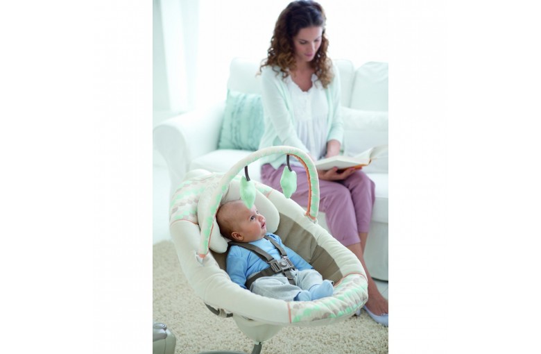 Укачивающий центр Graco Sweet Snuggle Benny and Bell