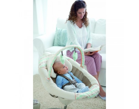 Заколисуючий центр Graco Sweet Snuggle Benny and Bell