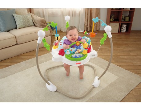 Прыгунки Fisher-Price Zoo Party Jumperoo