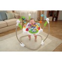 Прыгунки Fisher-Price Zoo Party Jumperoo