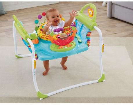 Прыгунки - Ходунки 2 в 1 Fisher Price Первые Шаги